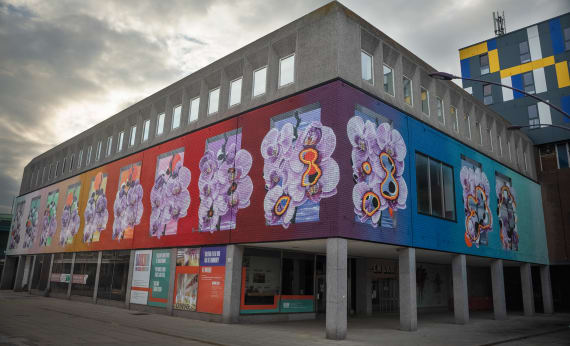 A photograph of multicolour street art on a building in Basildon from a low angle with overcast.